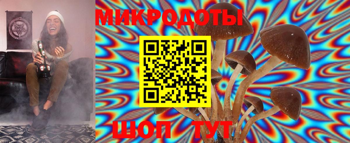 Псилоцибиновые грибы Cubensis Калач-на-Дону